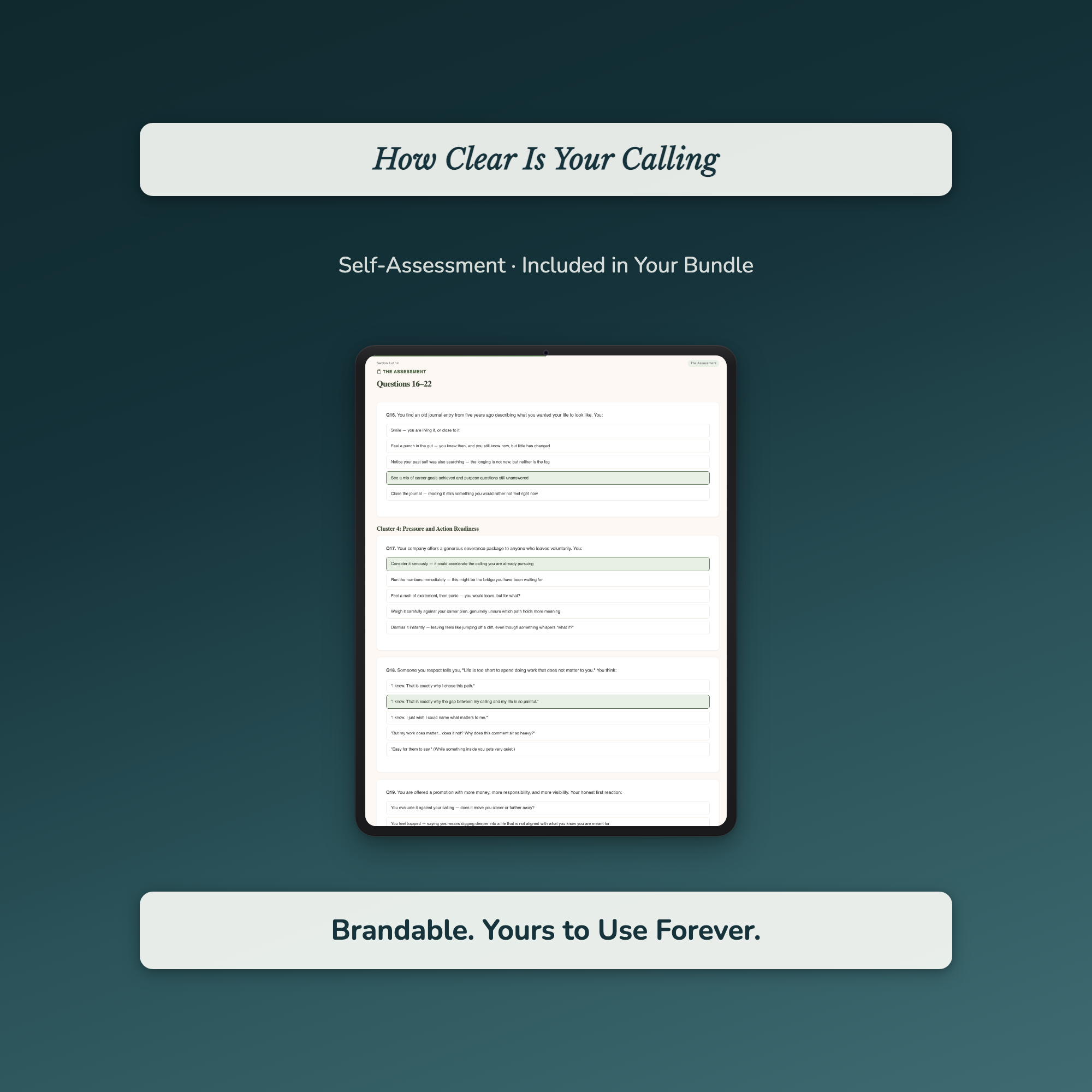 Career Clarity 8