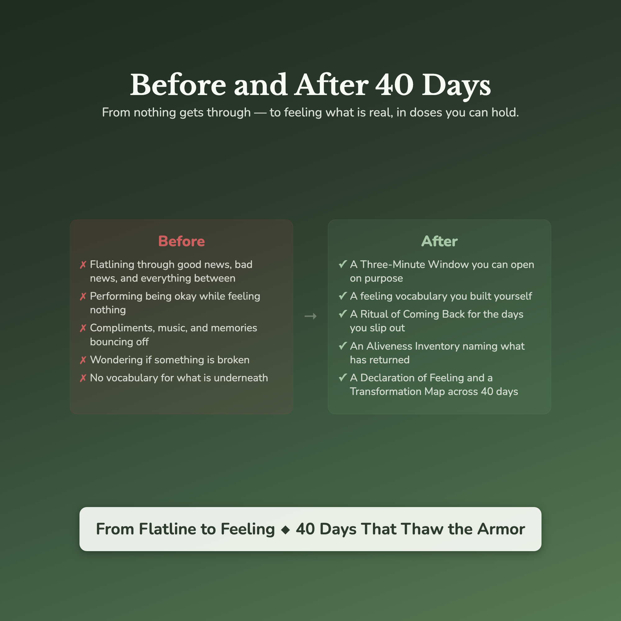 Emotional Numbness Workbook & 40-Day Guide — before and after transformation