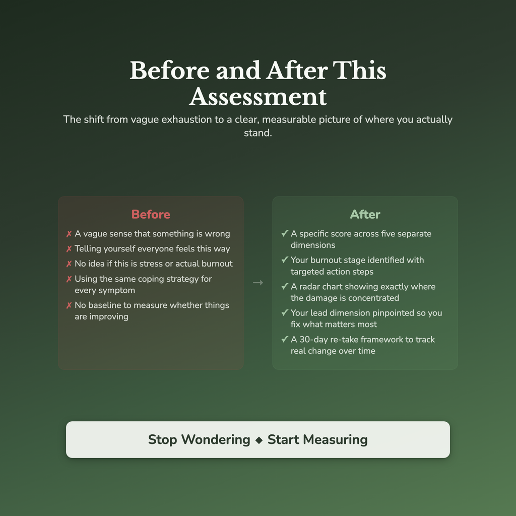 Burnout Risk Profile — before and after transformation