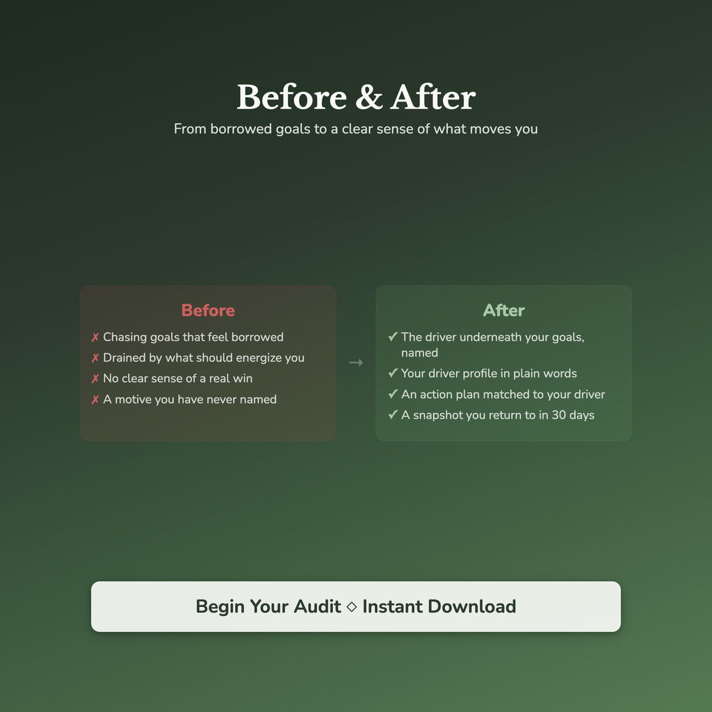 What Drives You Quiz & Workbook – Find Your Core Motivation – Interactive Self-Assessment