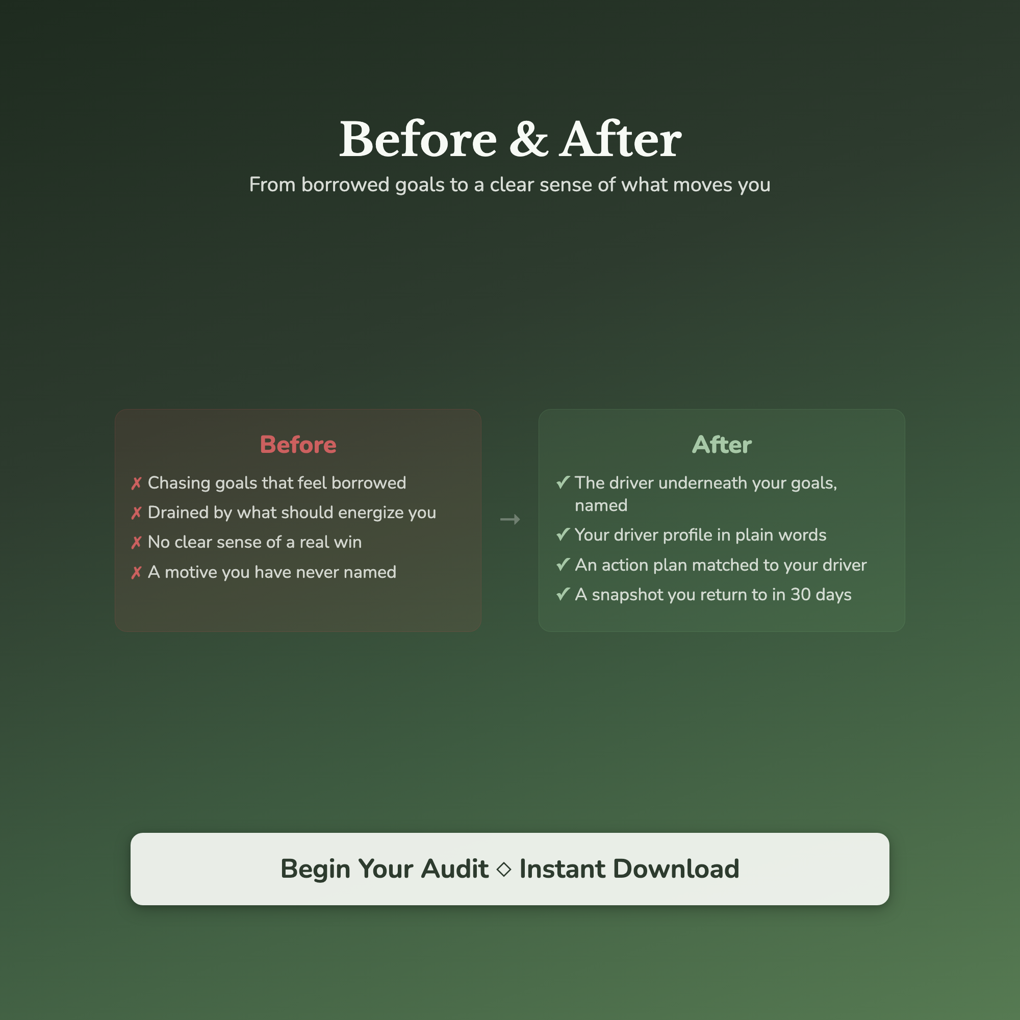 What Drives You Quiz & Workbook – Find Your Core Motivation – Interactive Self-Assessment