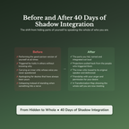 Shadow Work Workbook & 40-Day Guide — before and after transformation