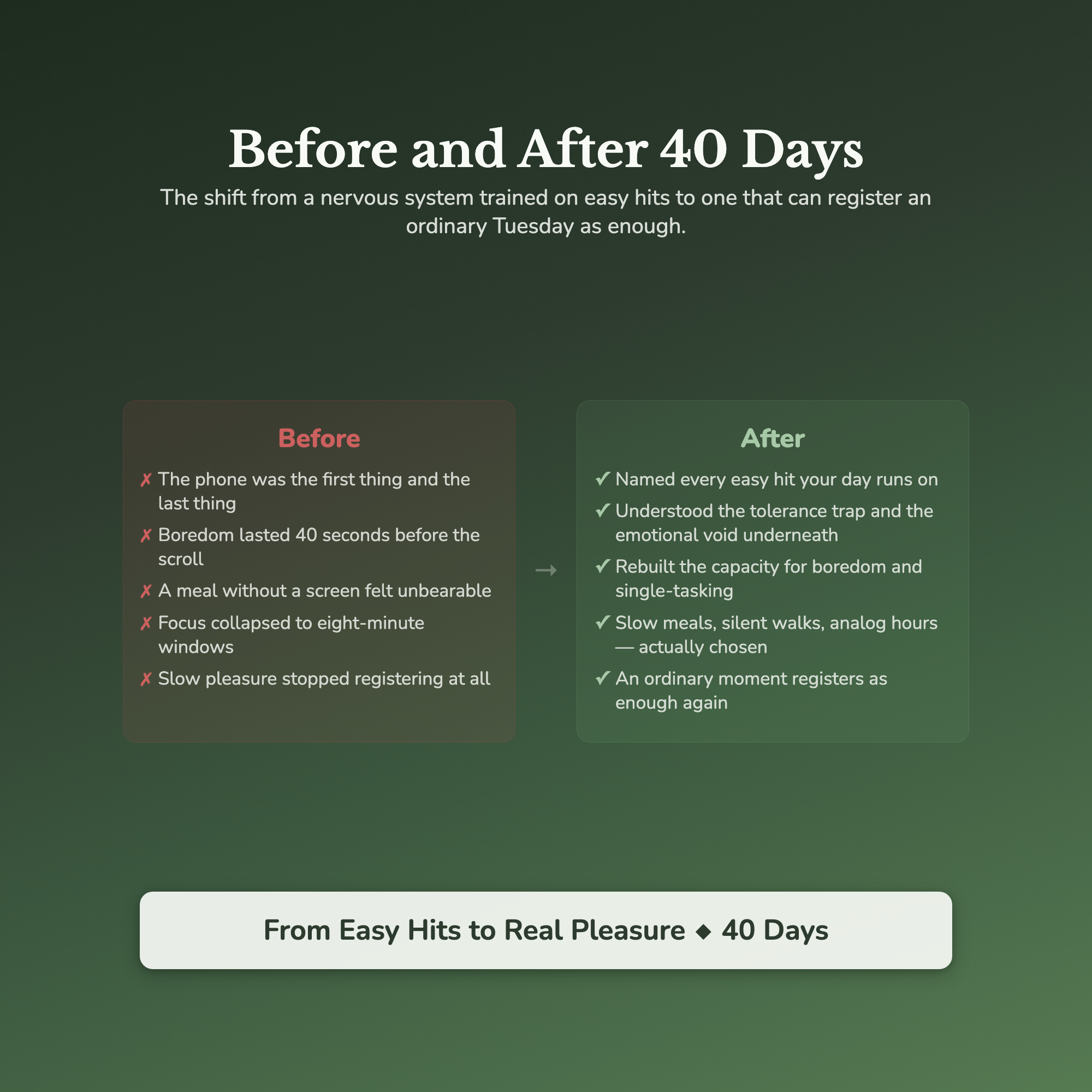 Dopamine Reset Workbook & 40-Day Guide — before and after transformation