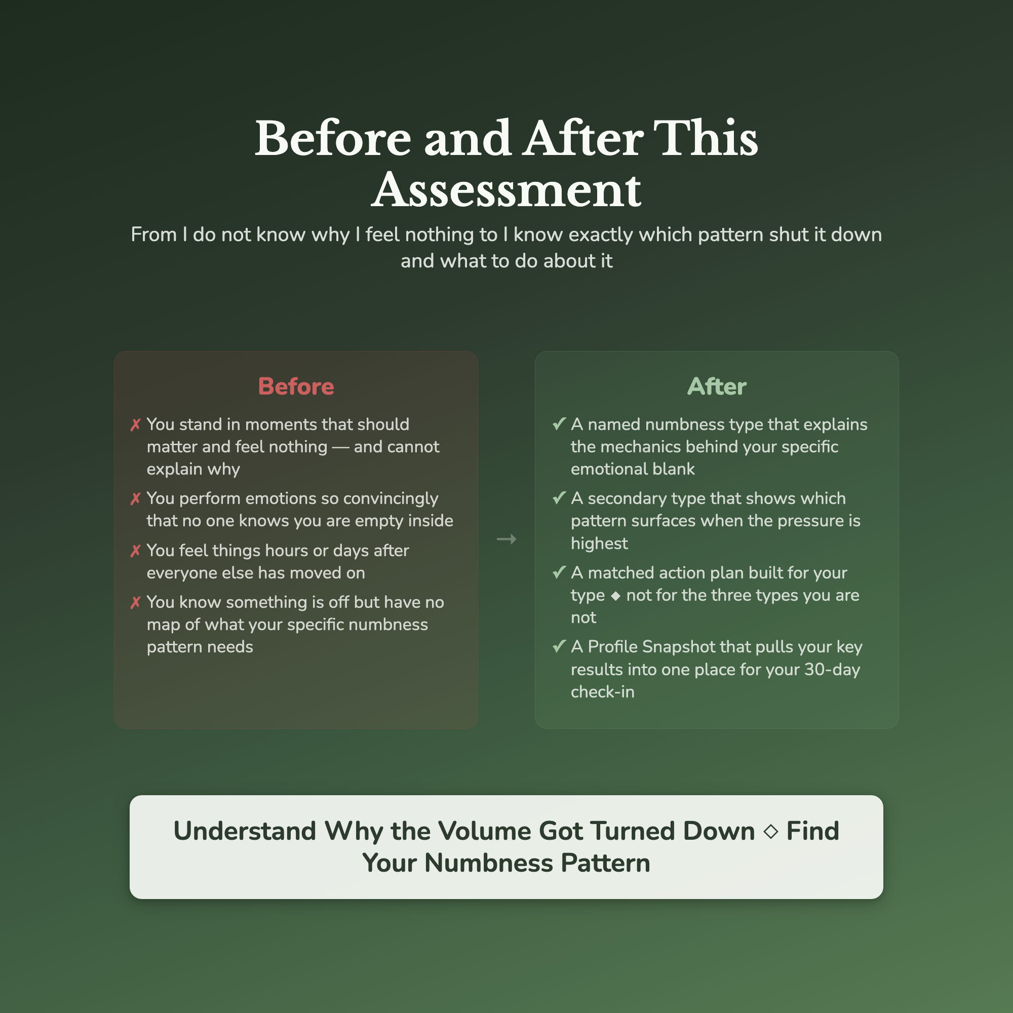 Emotional Numbness Profile — before and after transformation