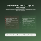 Workplace Boundaries Workbook & 40-Day Guide — before and after transformation