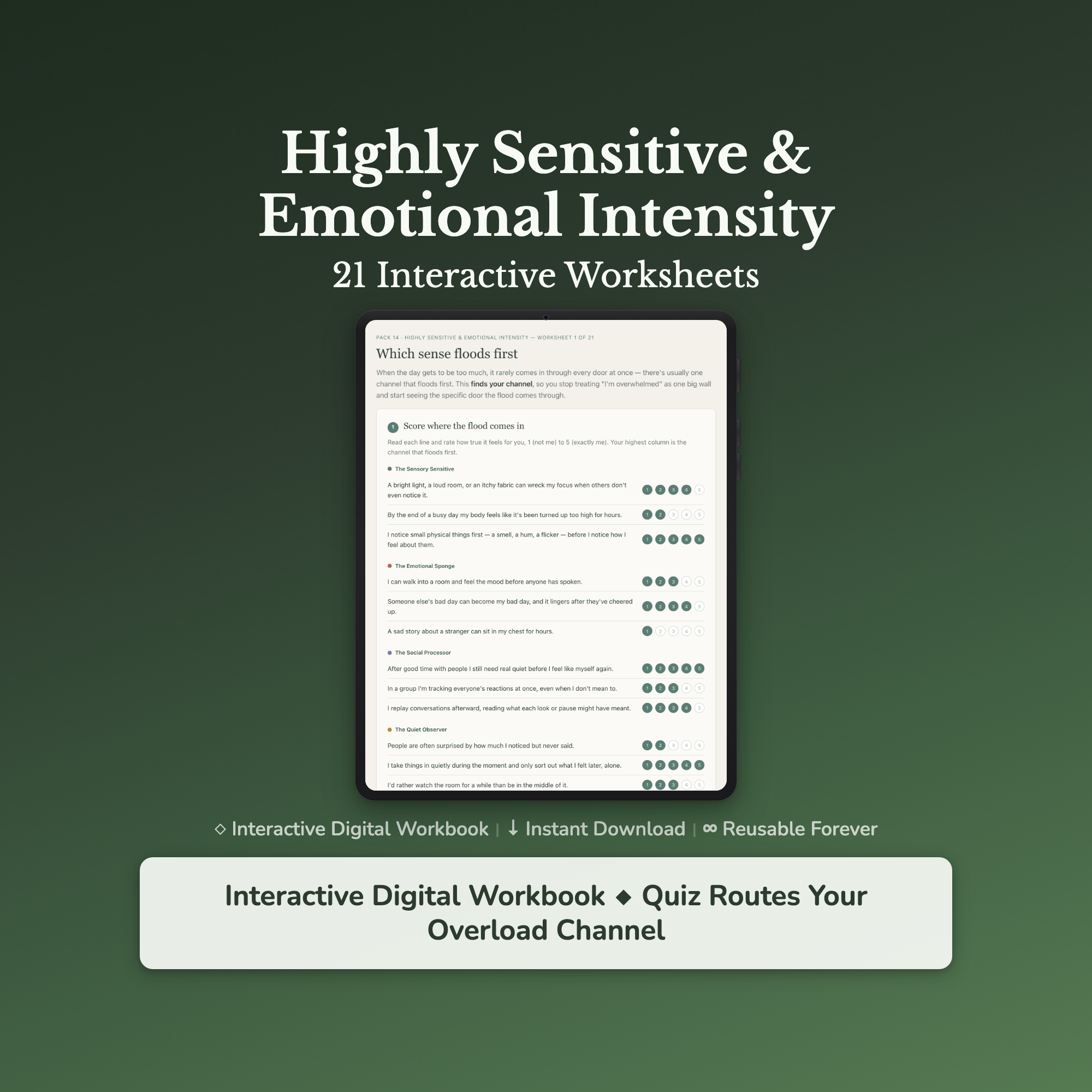 Highly Sensitive Person Worksheets – Overstimulation, Feeling Too Much, HSP, Empath – Interactive Worksheets Bundle