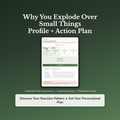 Emotional Explosion Profile — interactive workbook cover