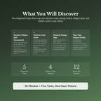 Decision Fatigue Profile — what's inside (section breakdown)