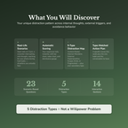 Distraction Type Profile — what's inside (section breakdown)