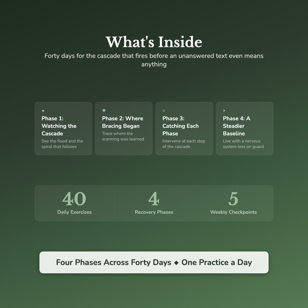 Rejection Workbook & 40-Day Journal – Steady the Cascade – Interactive Digital Guide