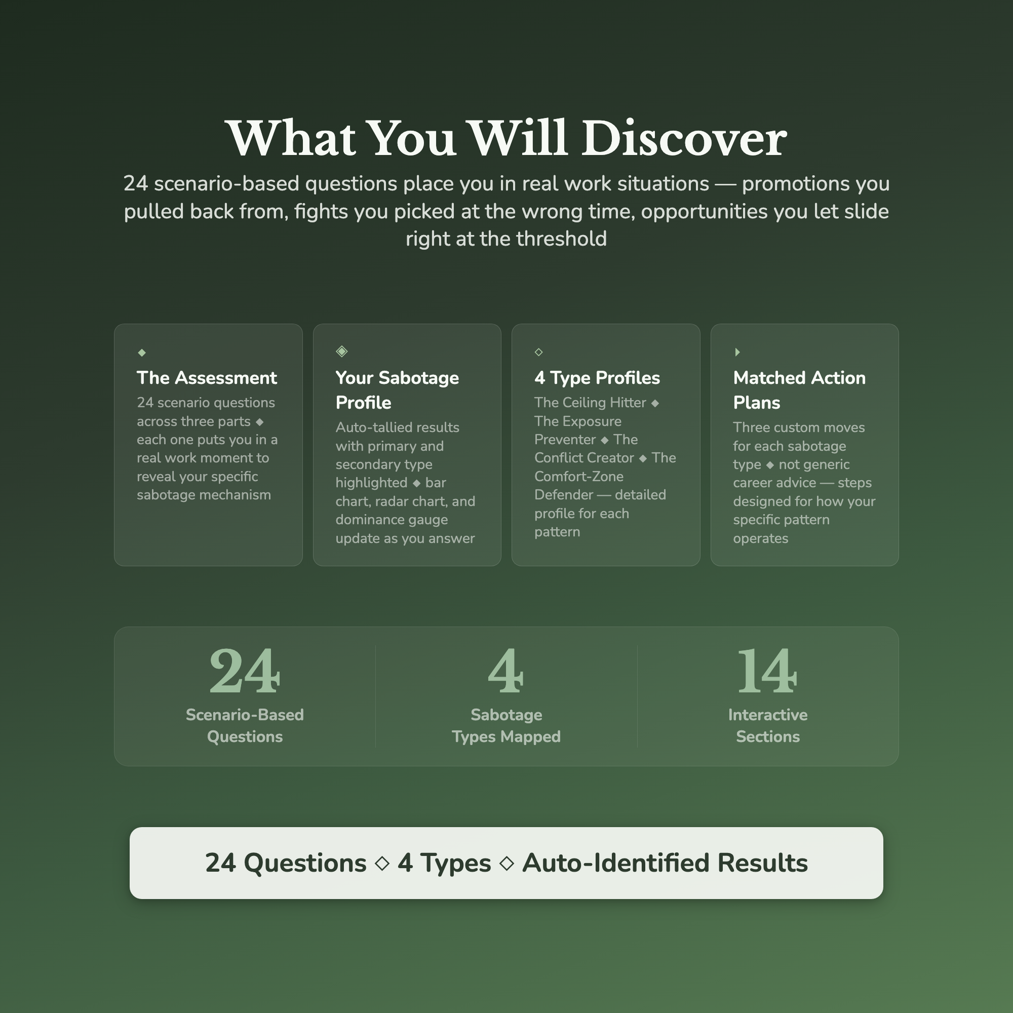 Career Self-Sabotage Profile — what's inside (section breakdown)