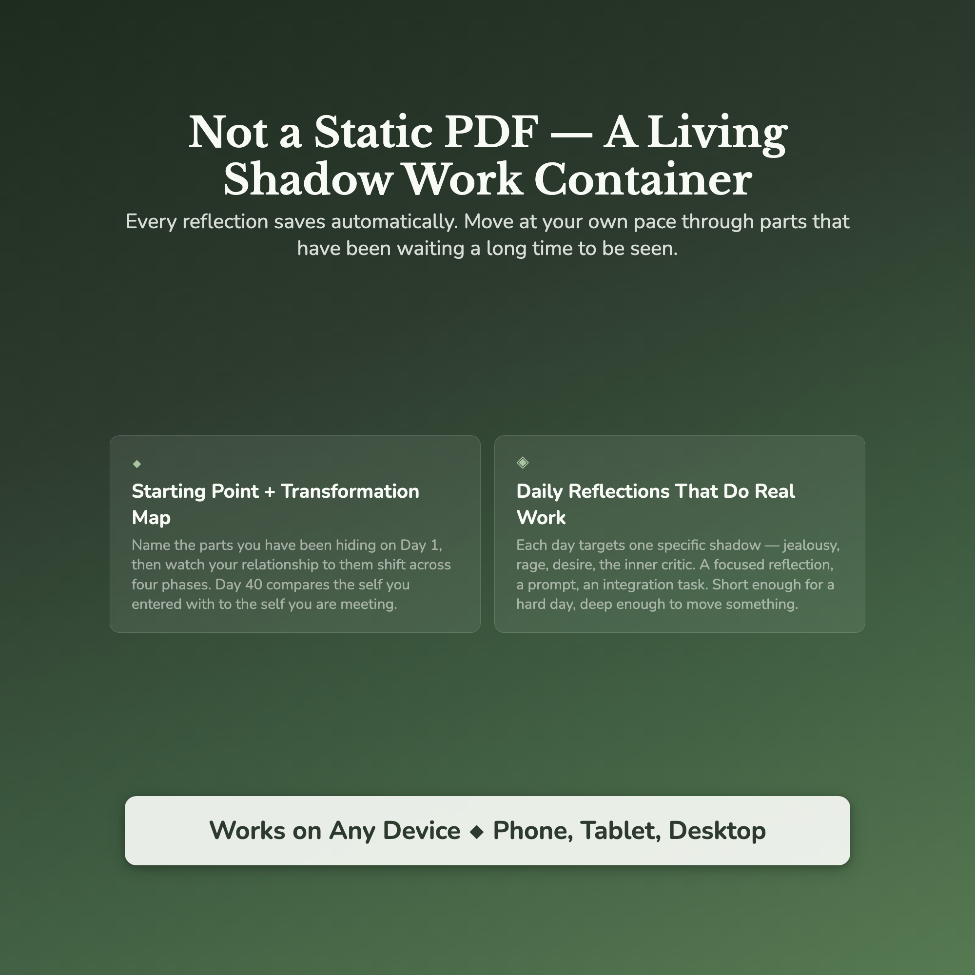 Shadow Work Workbook & 40-Day Guide — interactive features and tools