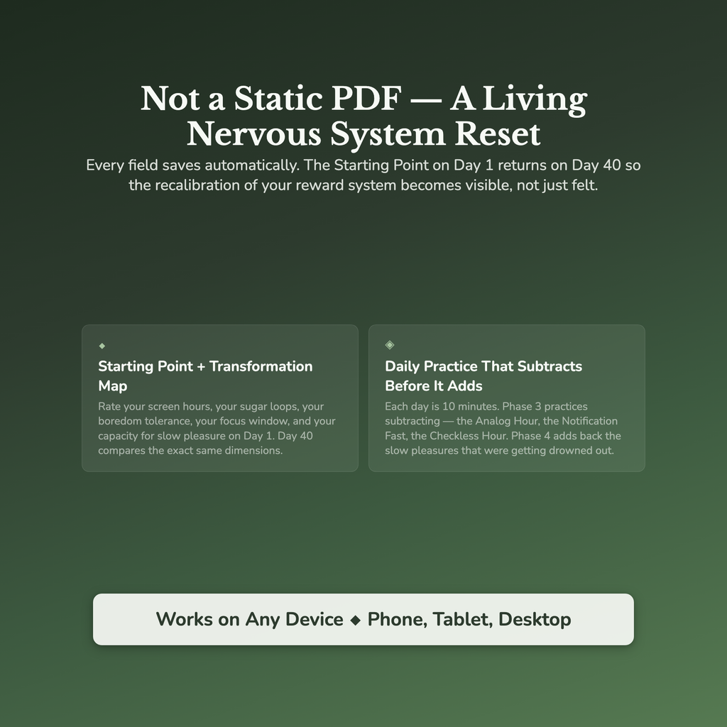 Dopamine Reset Workbook & 40-Day Guide — interactive features and tools