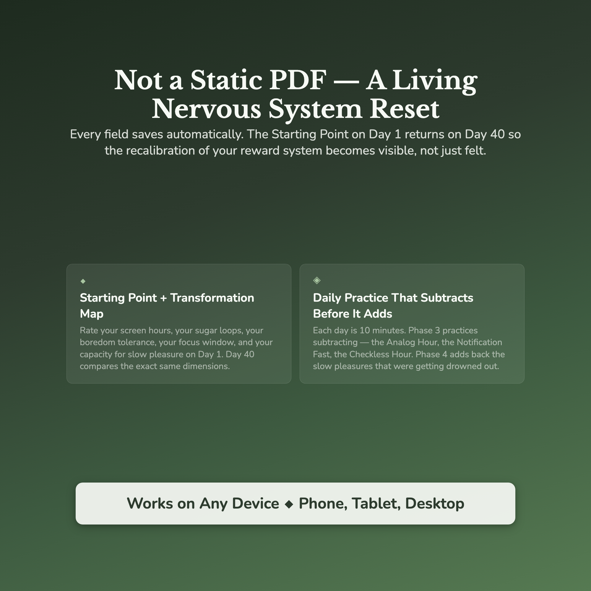 Dopamine Reset Workbook & 40-Day Guide — interactive features and tools