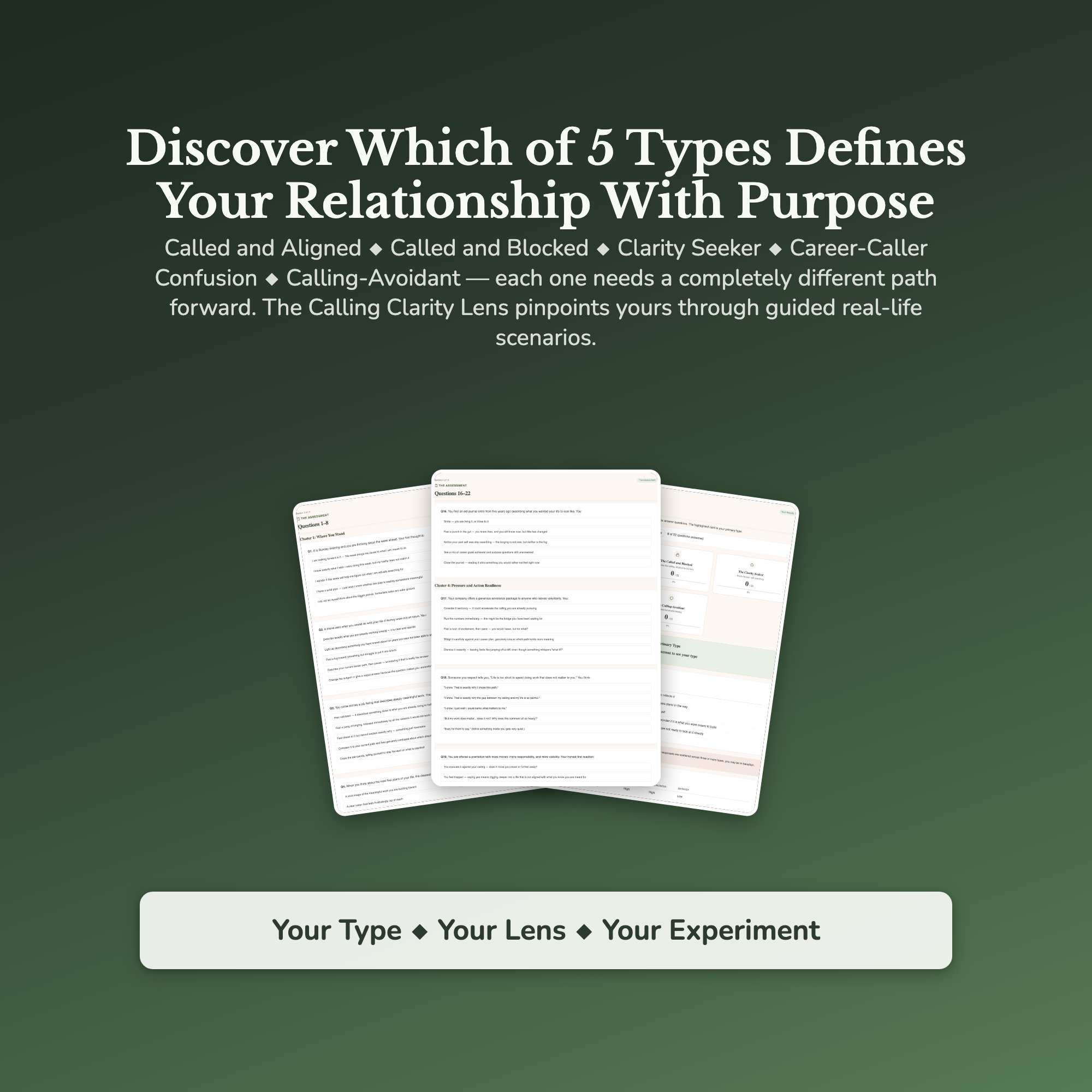 Life Calling Profile — sample result and action plan
