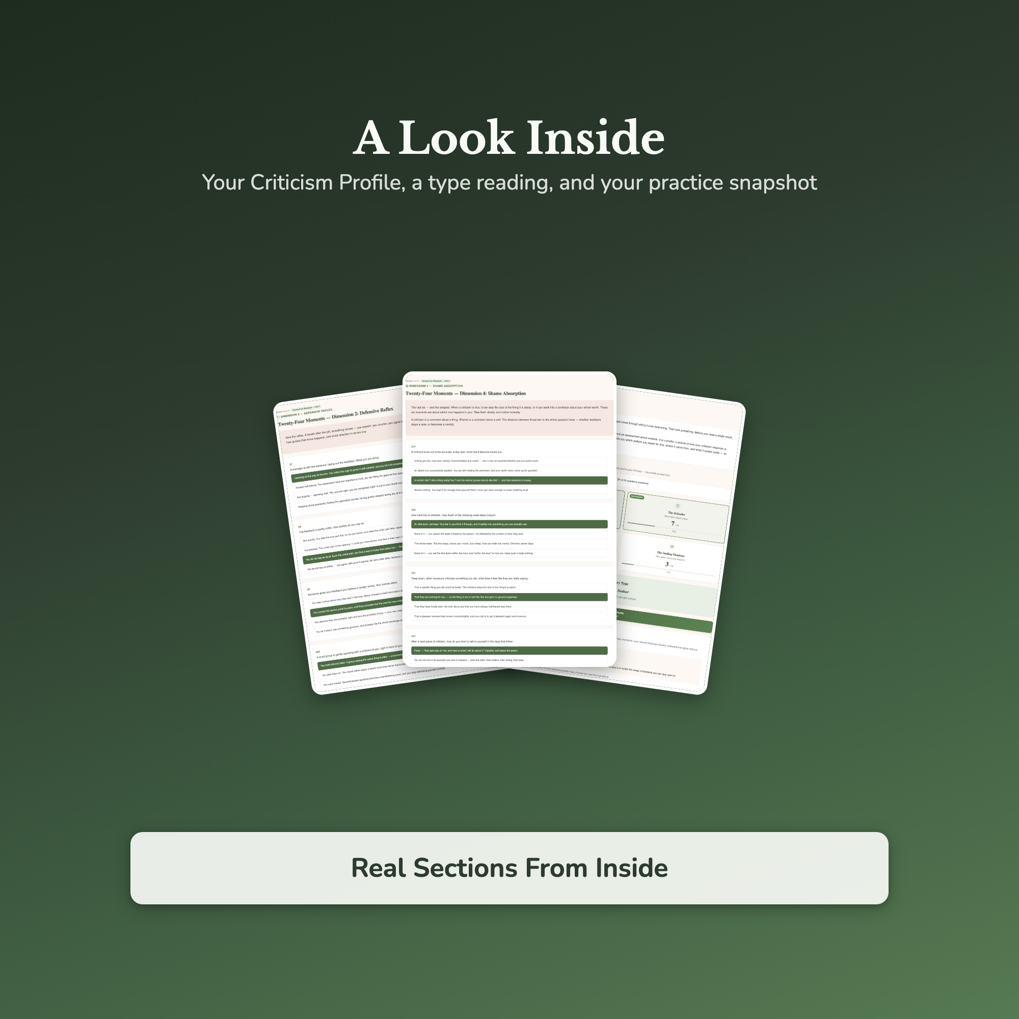 Criticism Quiz & Workbook – Why Does Feedback Hurt So Much? – Interactive Self-Assessment