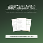 Identity Anchor Profile — sample result and action plan
