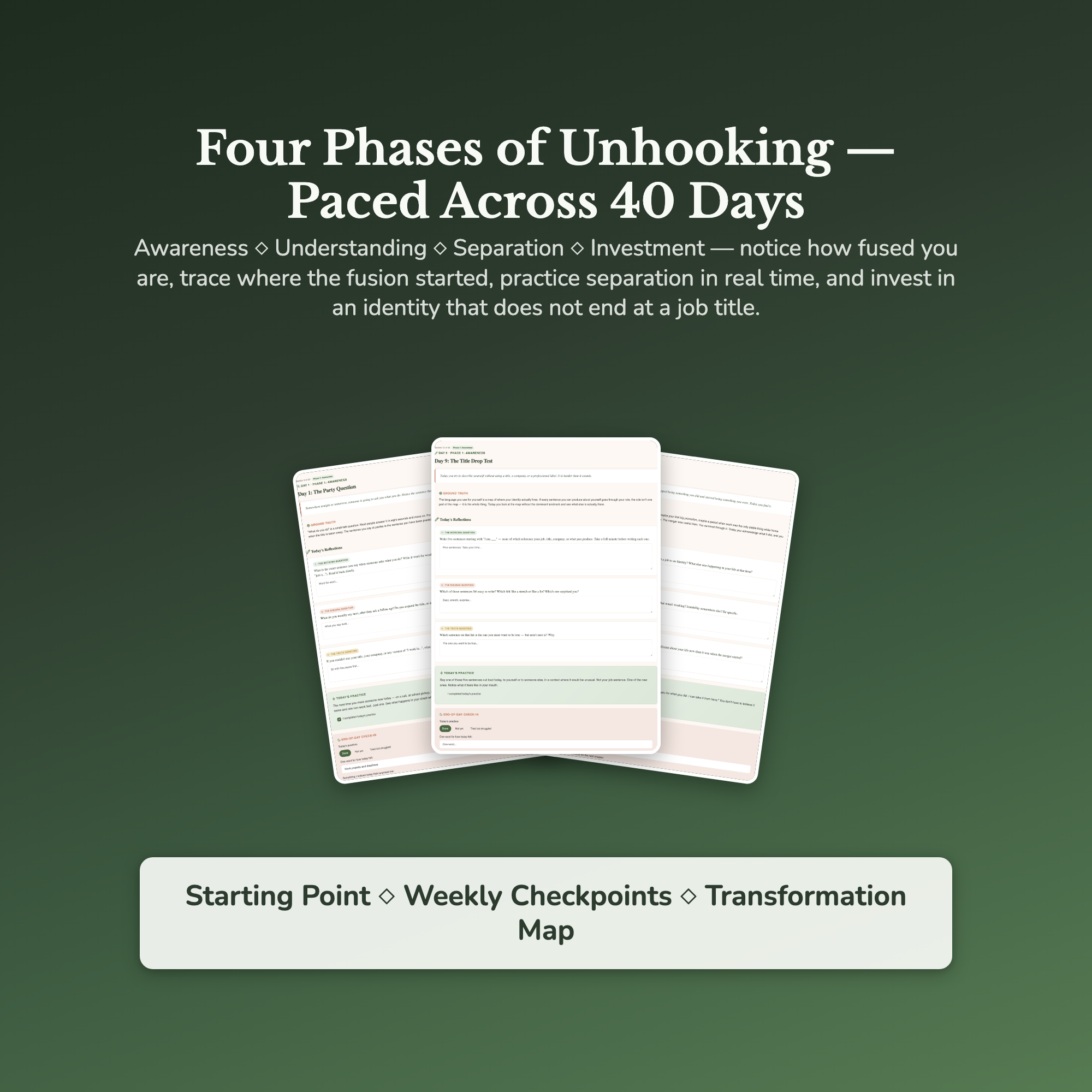 Work Identity Workbook & 40-Day Guide — sample result and action plan