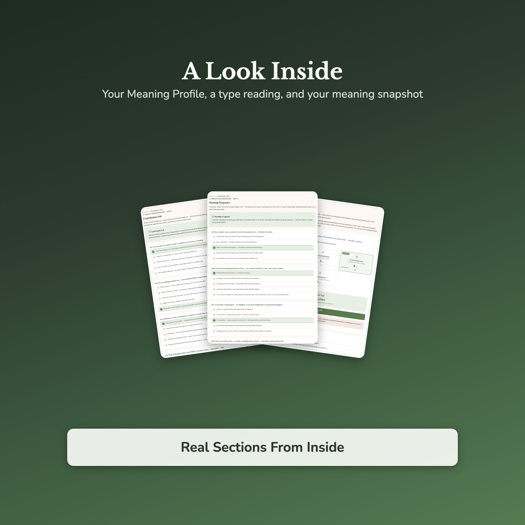 Meaning Quiz & Workbook – Is This Really All There Is? – Interactive Self-Assessment