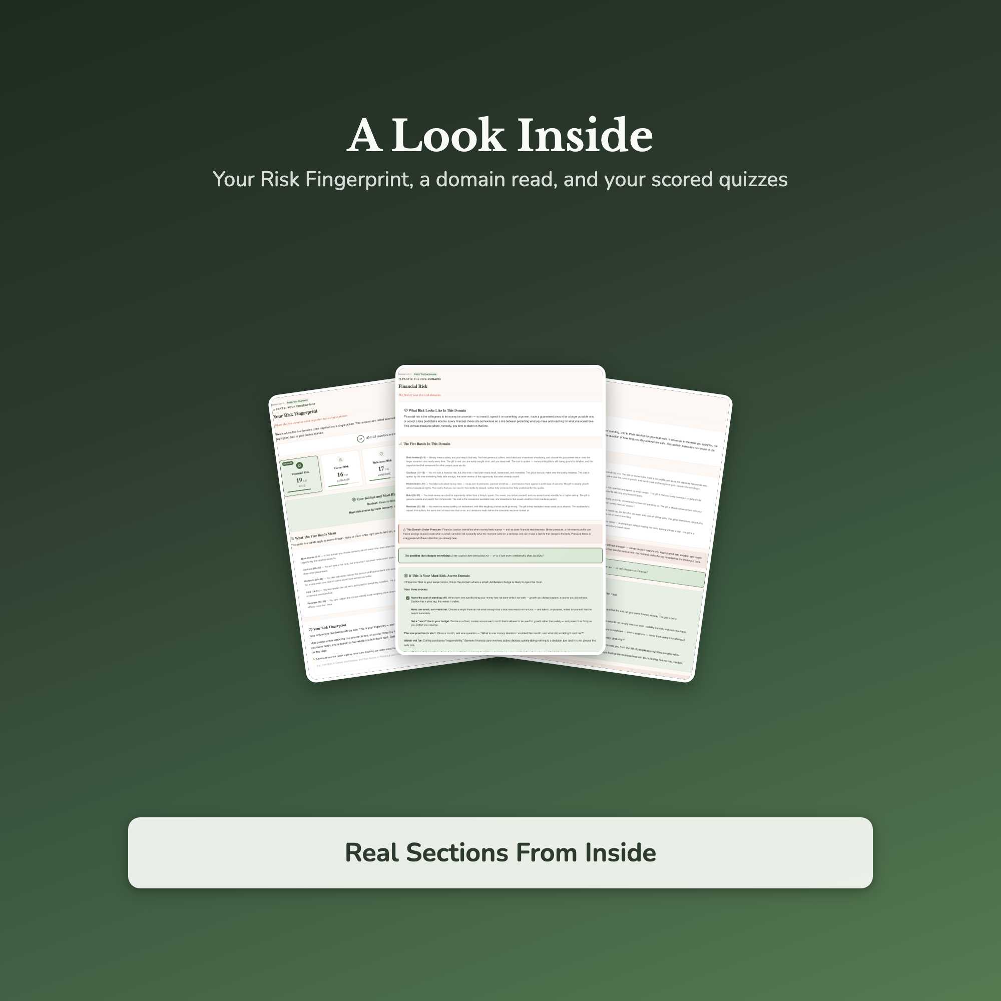 Risk Tolerance Quiz & Workbook – Bold Here, Cautious There – Interactive Self-Assessment