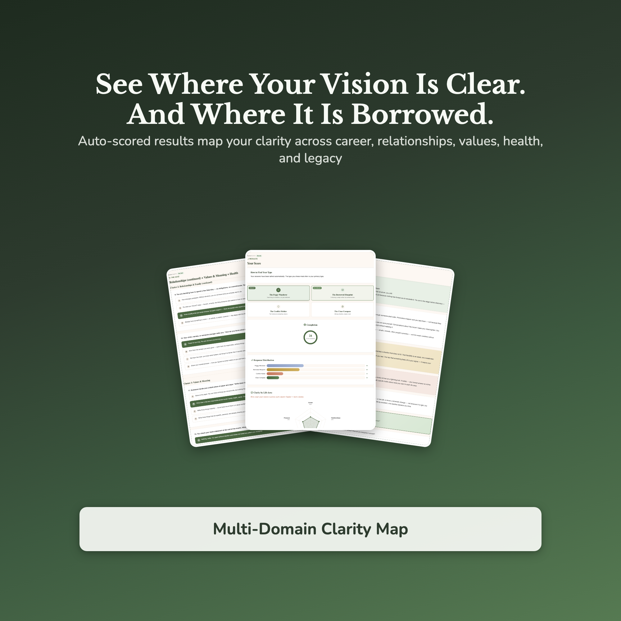Life Vision Profile — sample result and action plan