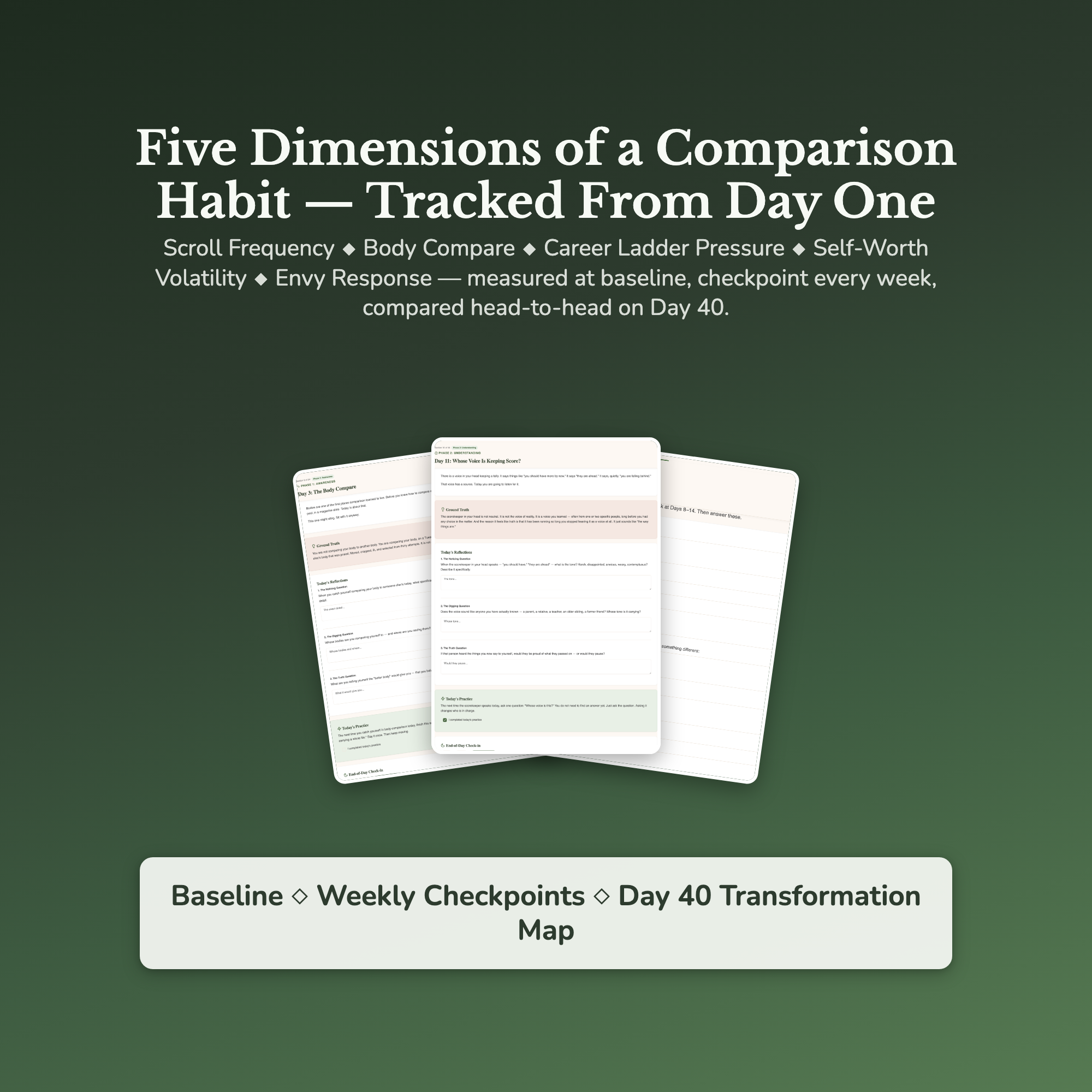 Comparison Workbook & 40-Day Guide — sample result and action plan