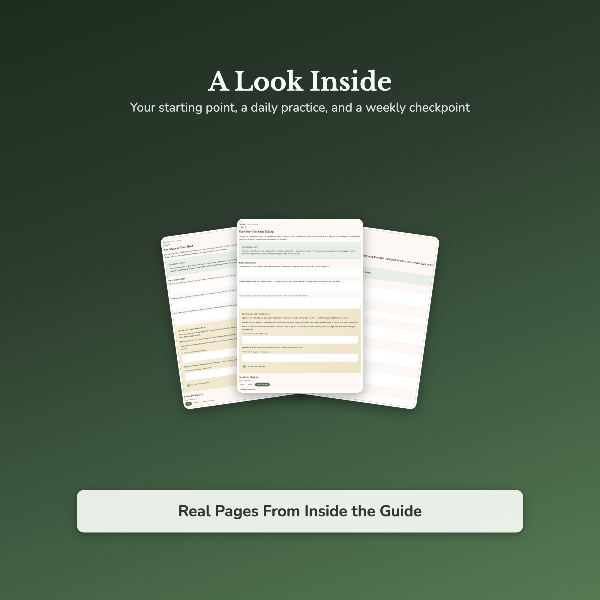 Burnout Workbook & 40-Day Journal – For the High-Functioning – Interactive Digital Guide