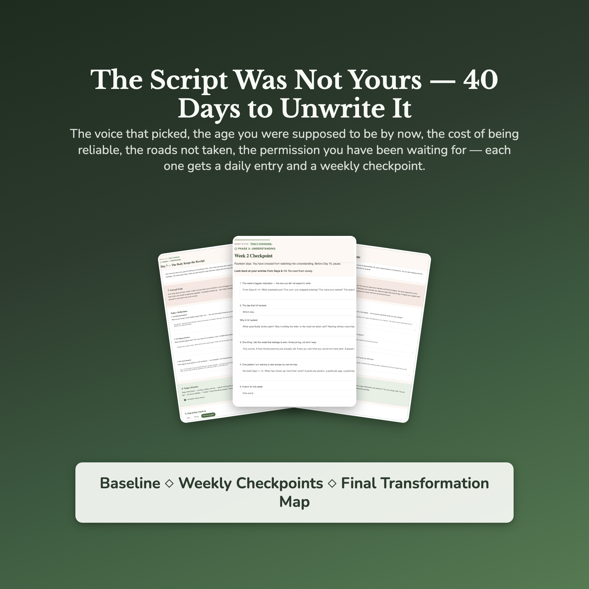 Midlife Crisis Workbook & 40-Day Guide — sample result and action plan