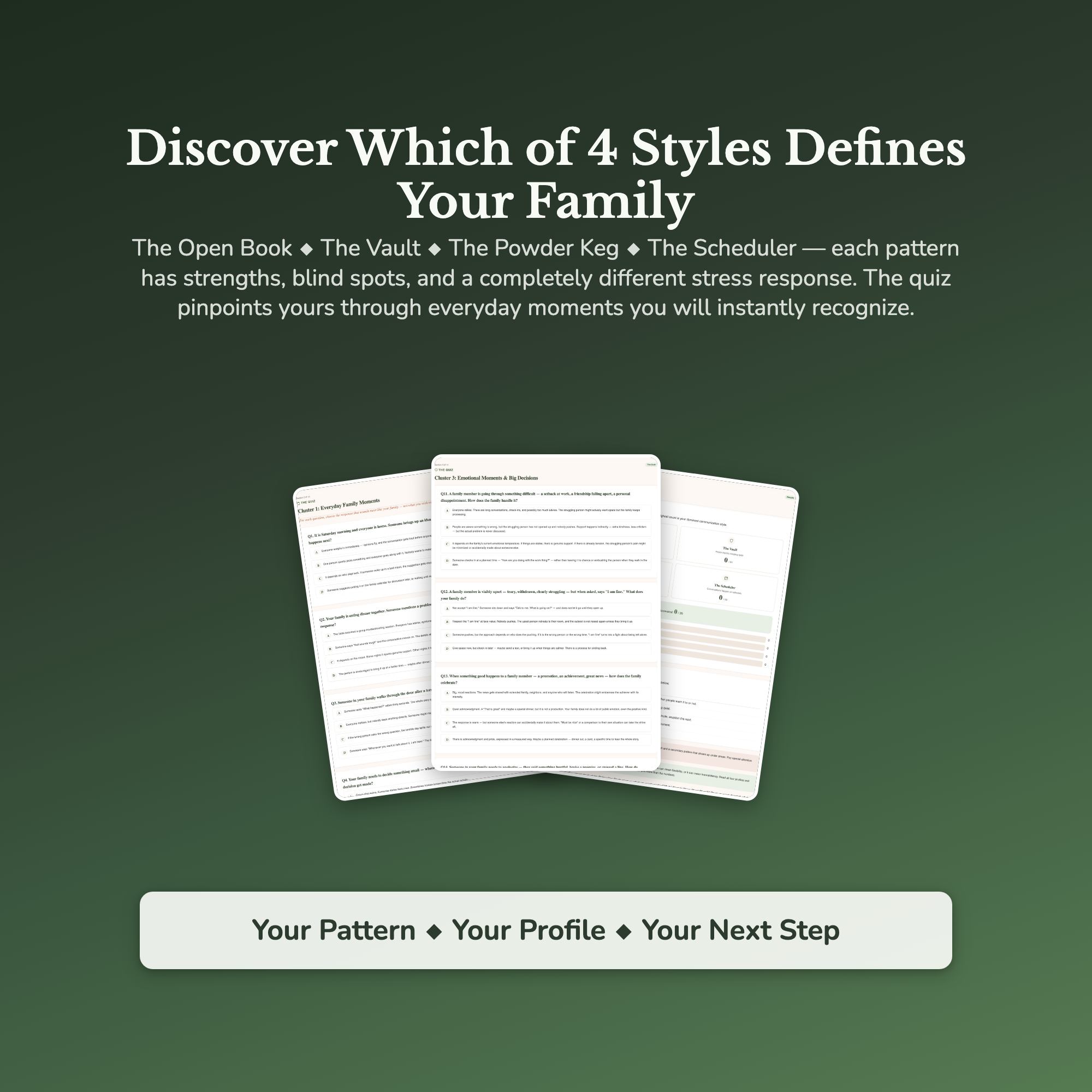 Family Communication Profile — sample result and action plan