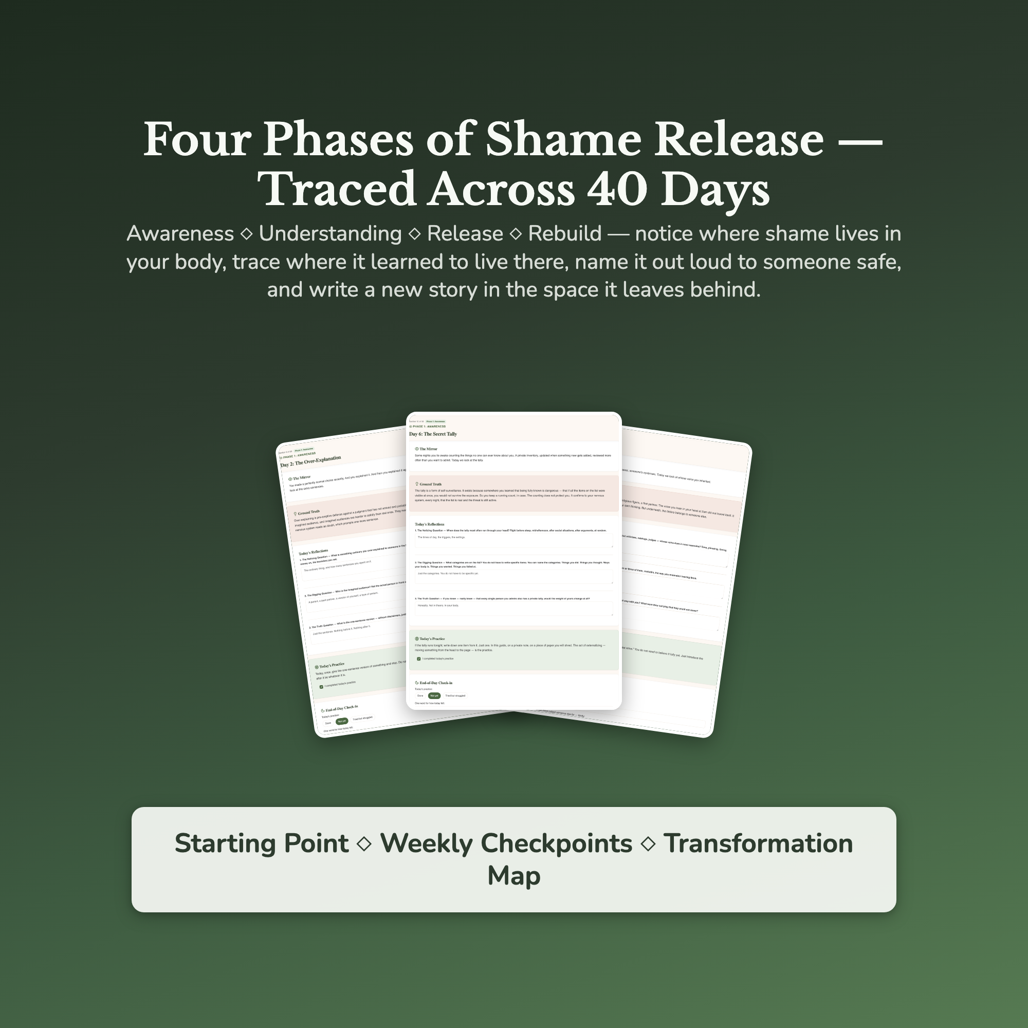 Shame Workbook & 40-Day Guide — sample result and action plan
