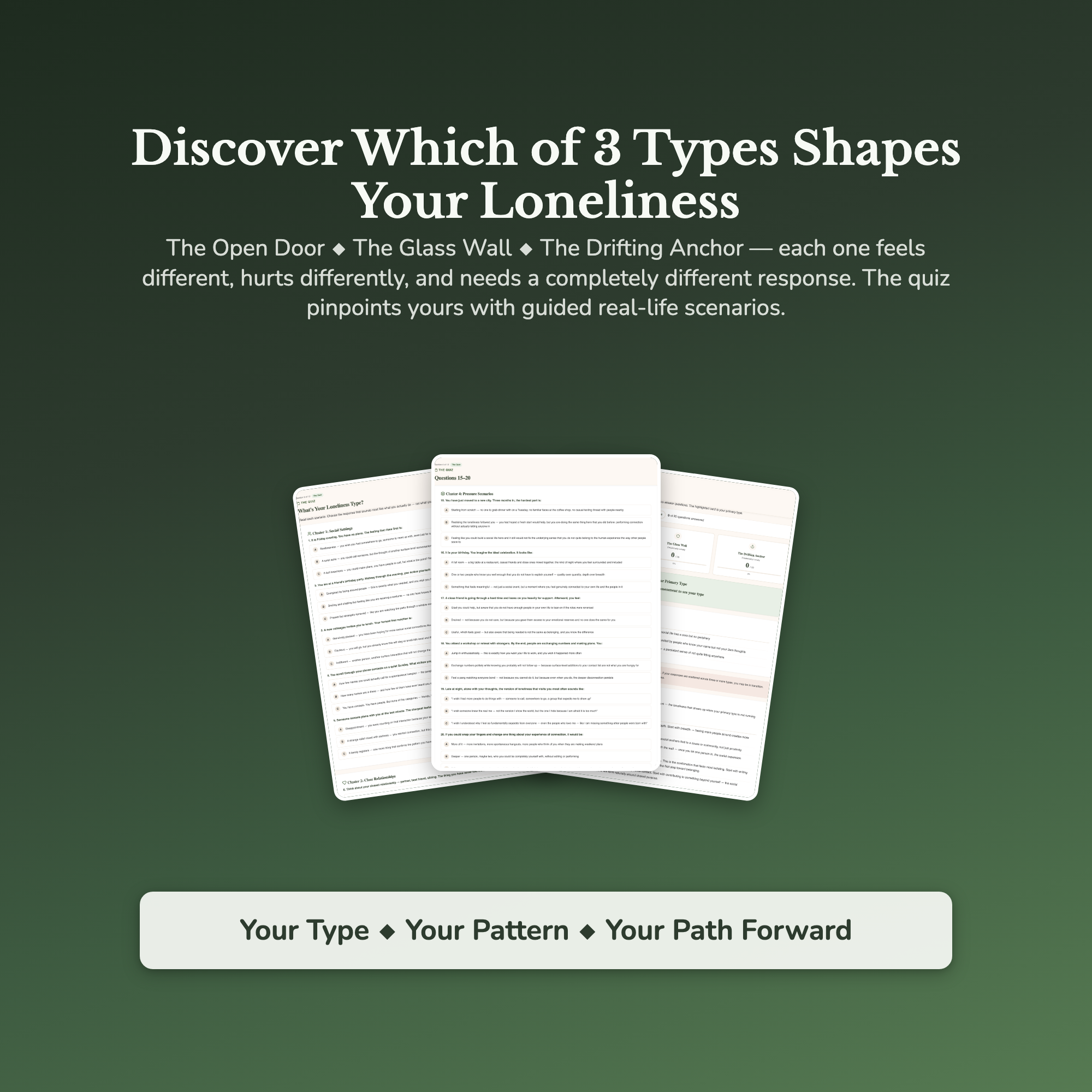 Loneliness Type Profile — sample result and action plan