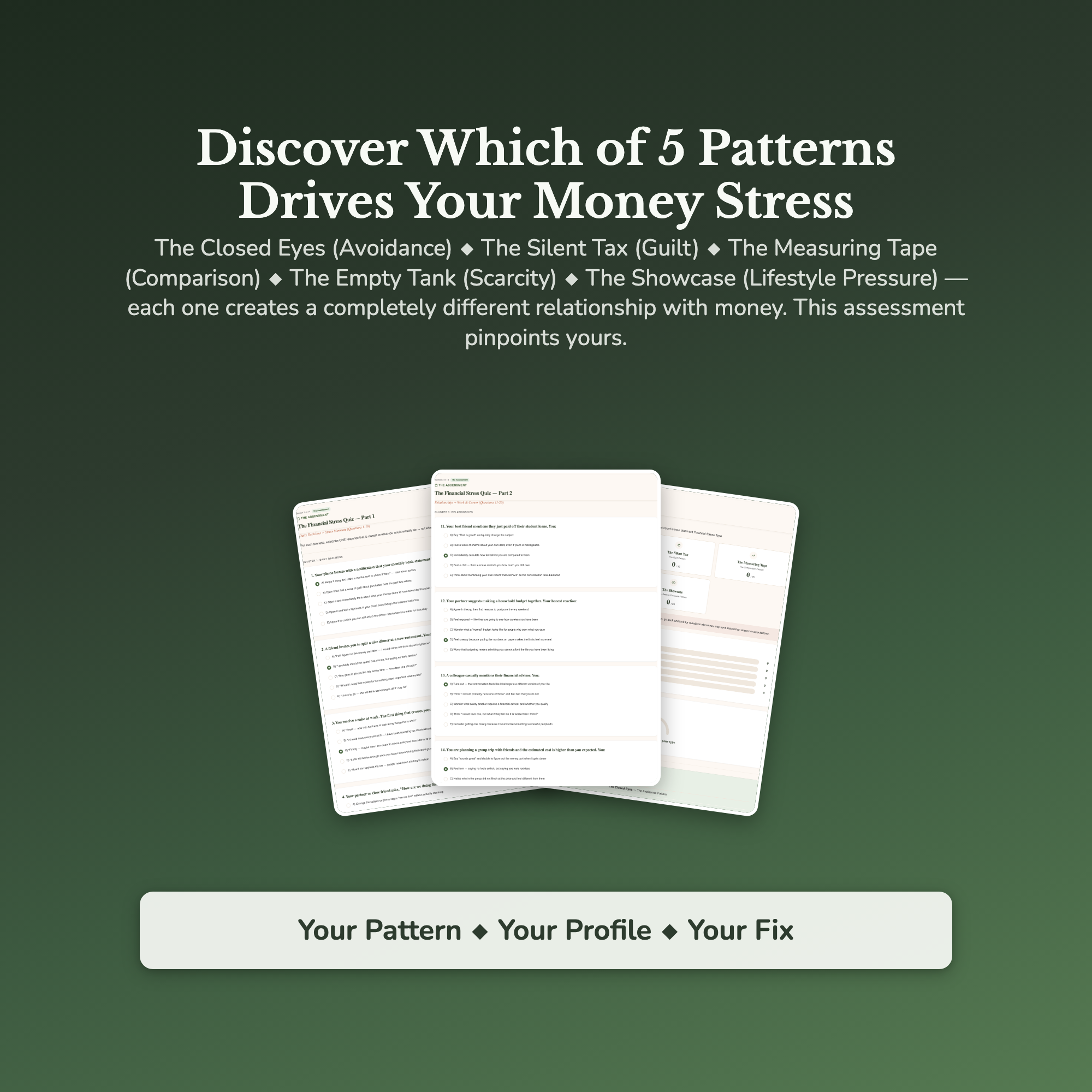 Financial Stress Profile — sample result and action plan