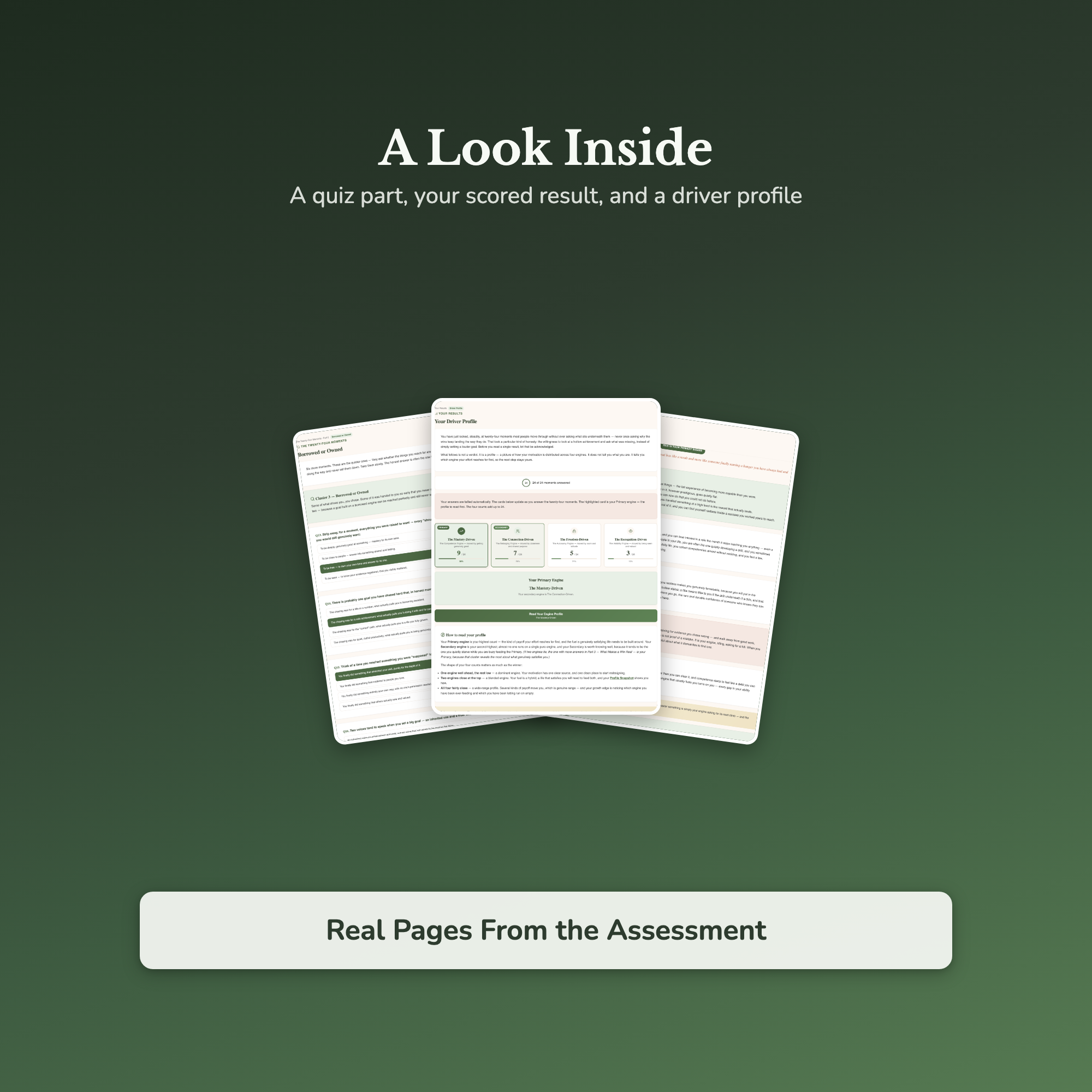 What Drives You Quiz & Workbook – Find Your Core Motivation – Interactive Self-Assessment