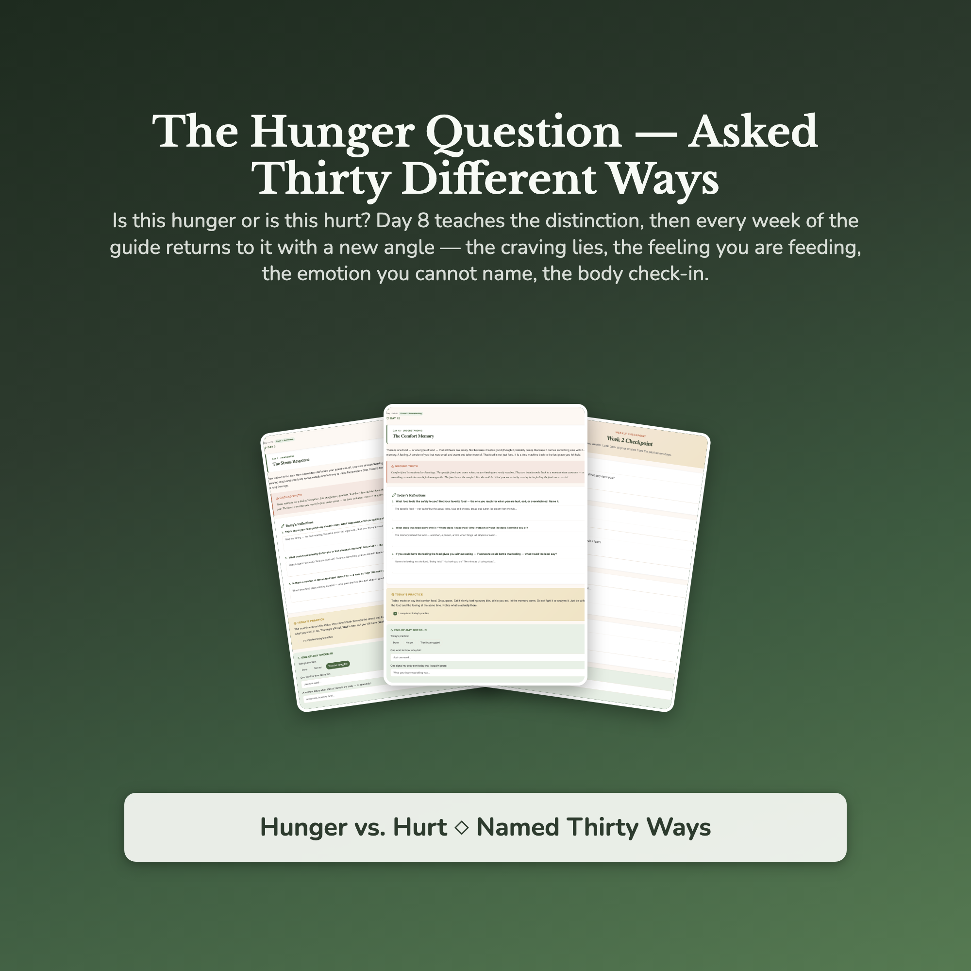 Emotional Eating Workbook & 40-Day Guide — sample result and action plan