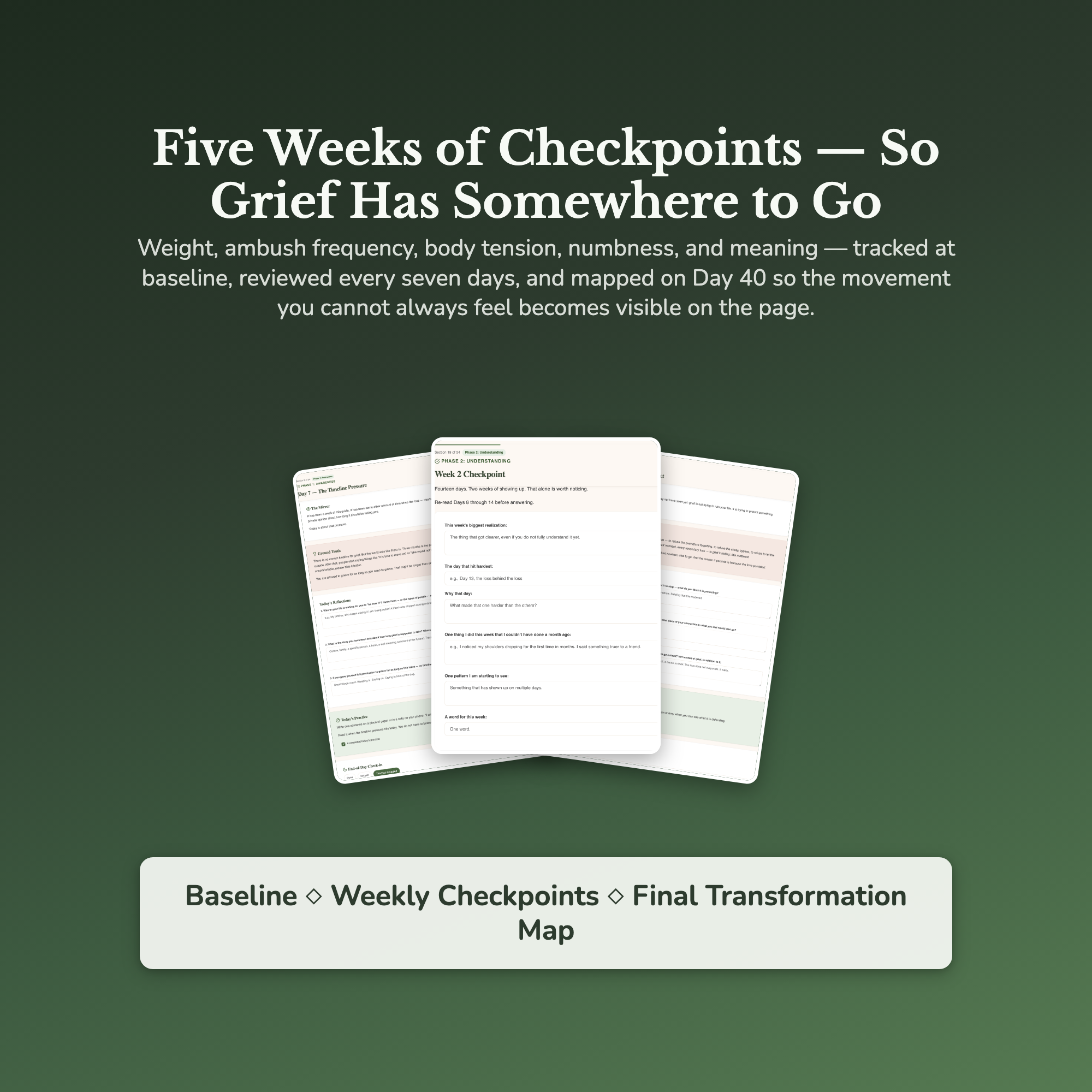 Grief Journal Workbook & 40-Day Guide — sample result and action plan