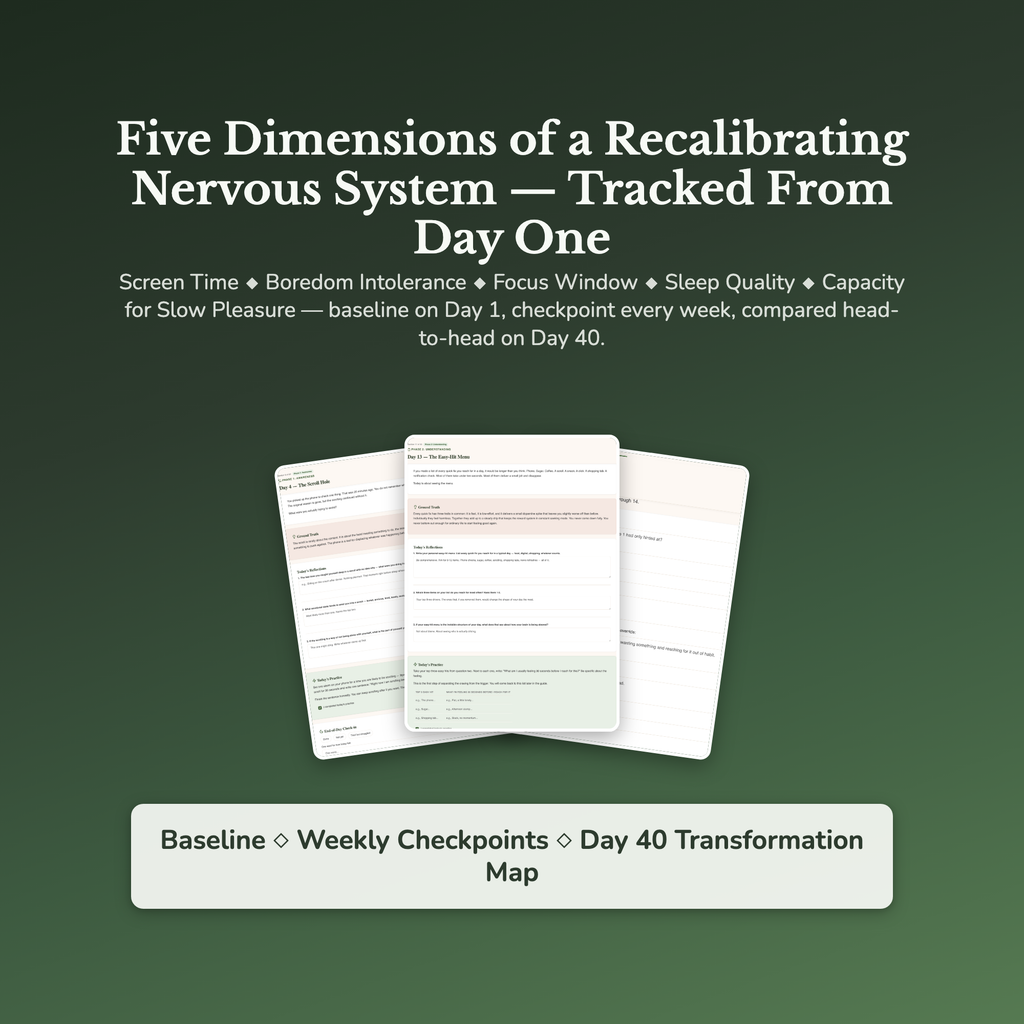 Dopamine Reset Workbook & 40-Day Guide — sample result and action plan