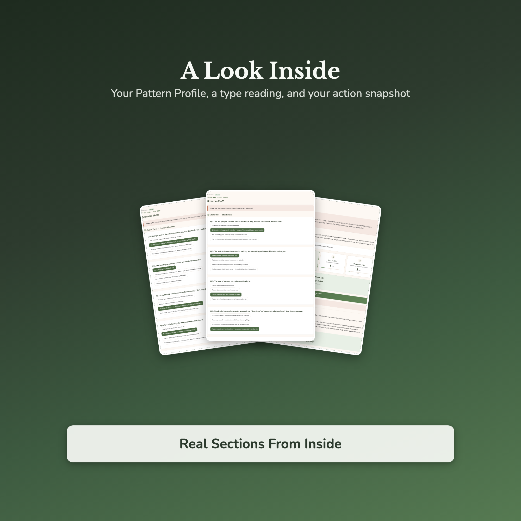 Sensation Seeking Quiz & Workbook – Calm Feels Like Boredom – Interactive Self-Assessment