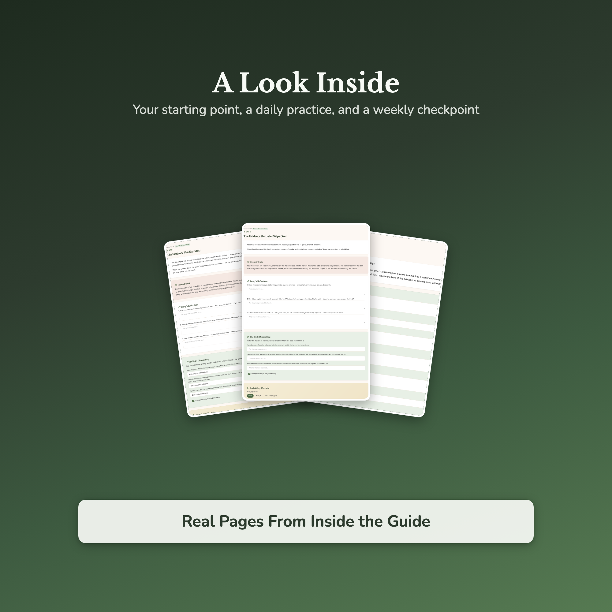 Limiting Beliefs Workbook & 40-Day Journal – Growth Mindset – Interactive Digital Guide