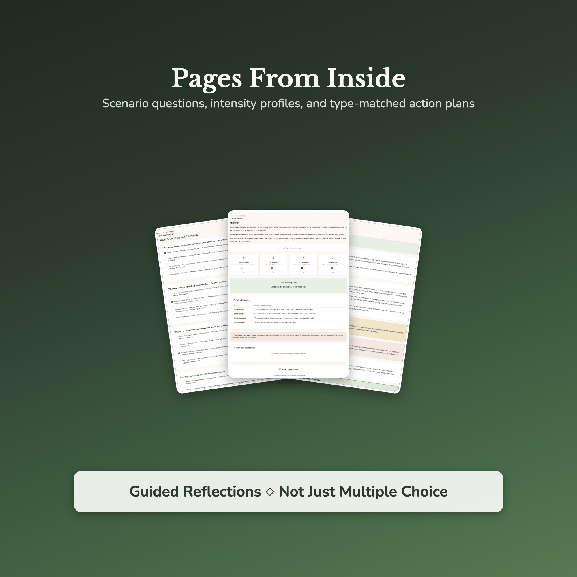 Emotional Intensity Profile — sample result and action plan