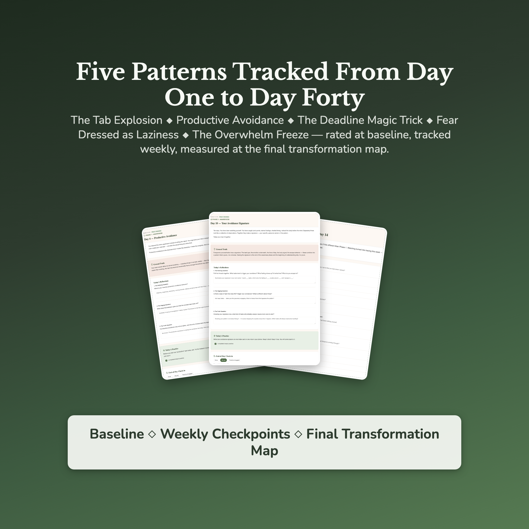 Procrastination Workbook & 40-Day Guide — sample result and action plan