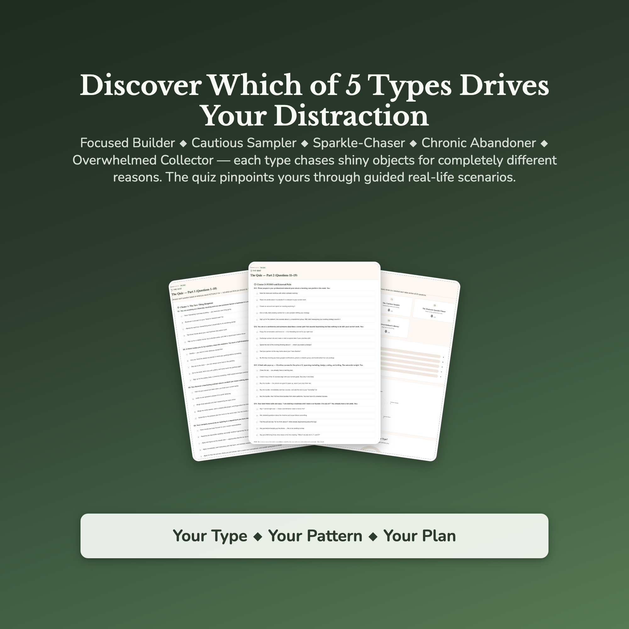 Distraction Profile — sample result and action plan