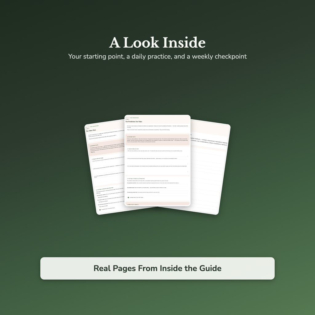 Optimism Workbook & 40-Day Journal – Stop the Other-Shoe Wait – Interactive Digital Guide