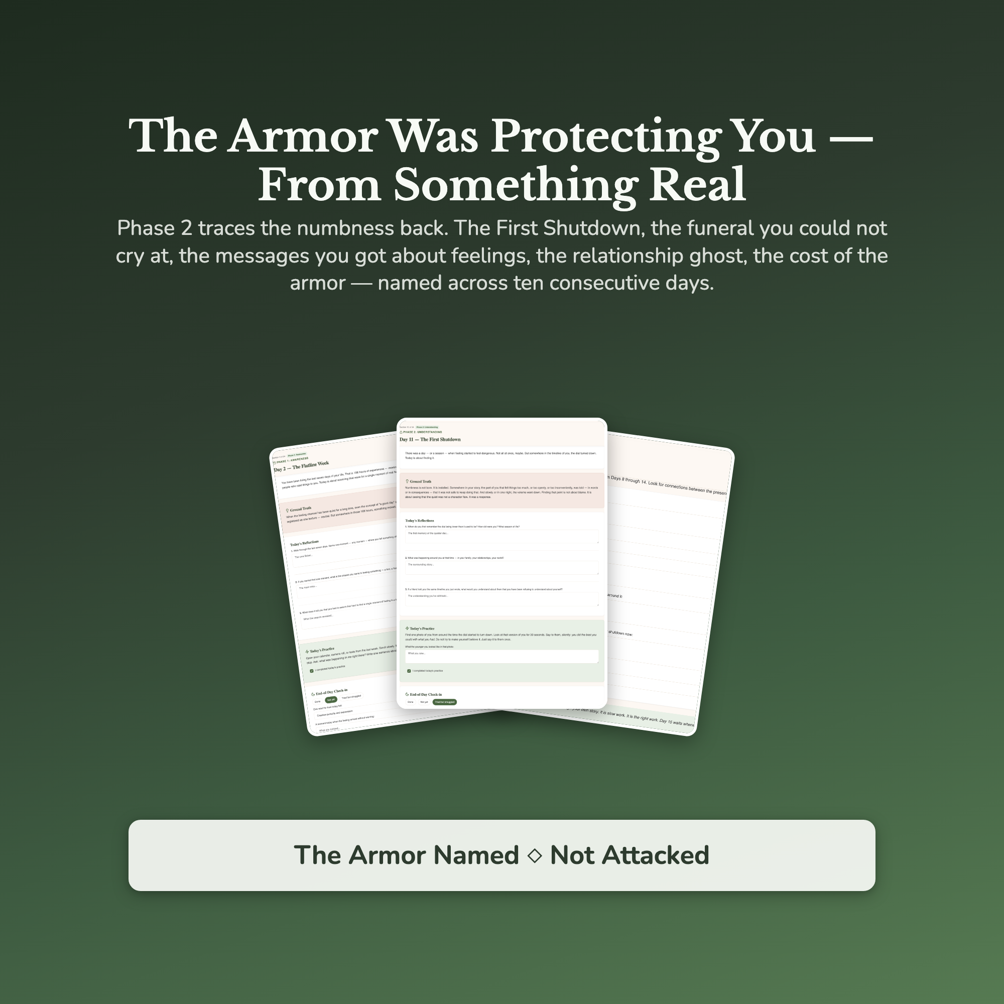 Emotional Numbness Workbook & 40-Day Guide — sample result and action plan
