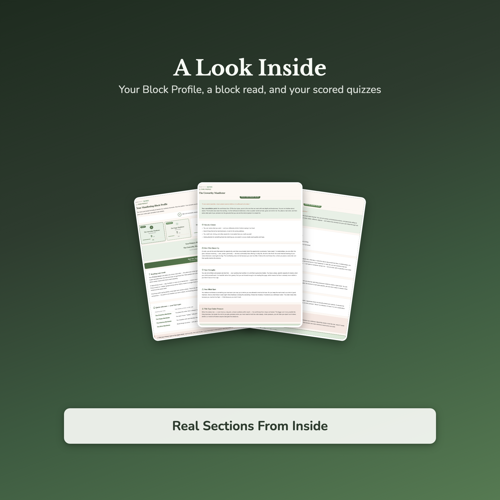 Manifesting Block Quiz & Workbook – Why It Isn't Working – Interactive Self-Assessment
