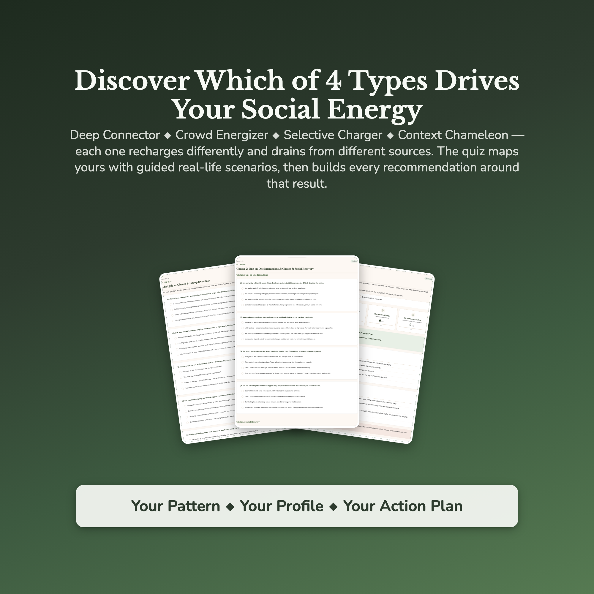 Social Battery Profile — sample result and action plan