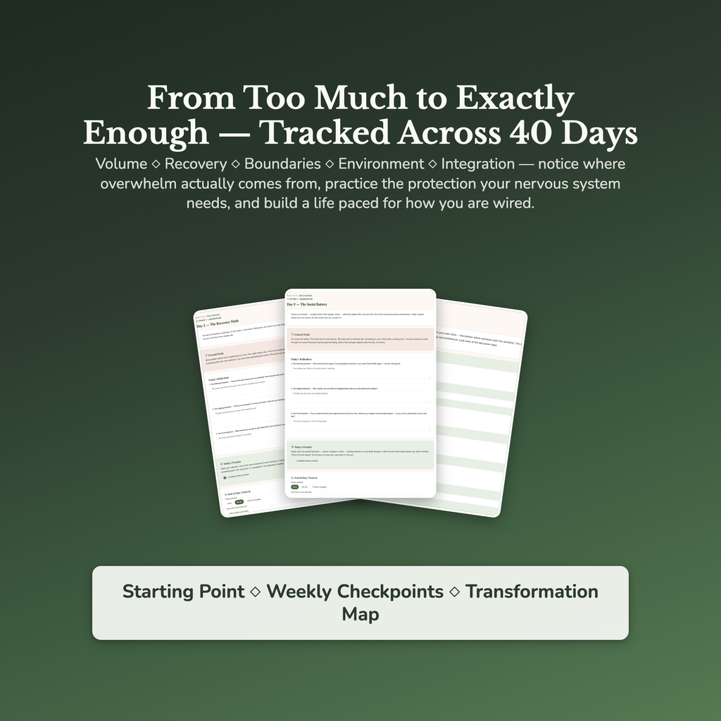 Highly Sensitive Workbook & 40-Day Guide — sample result and action plan
