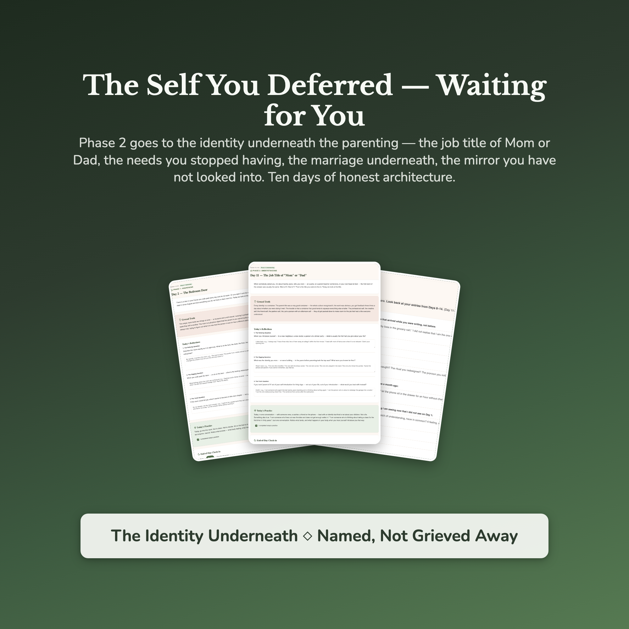 Empty Nest Workbook & 40-Day Guide — sample result and action plan