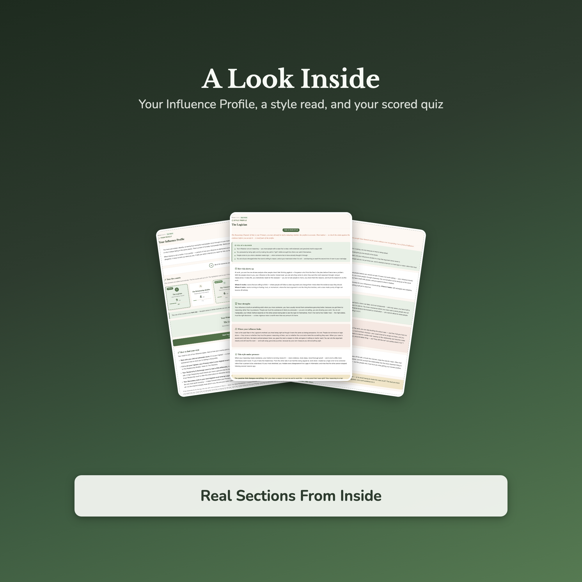 Influence Style Quiz & Workbook – Why Your Ideas Get Lost – Interactive Self-Assessment
