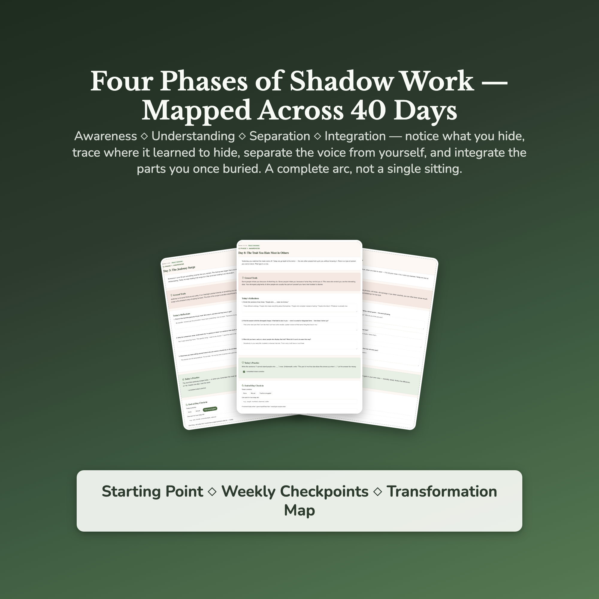 Shadow Work Workbook & 40-Day Guide — sample result and action plan