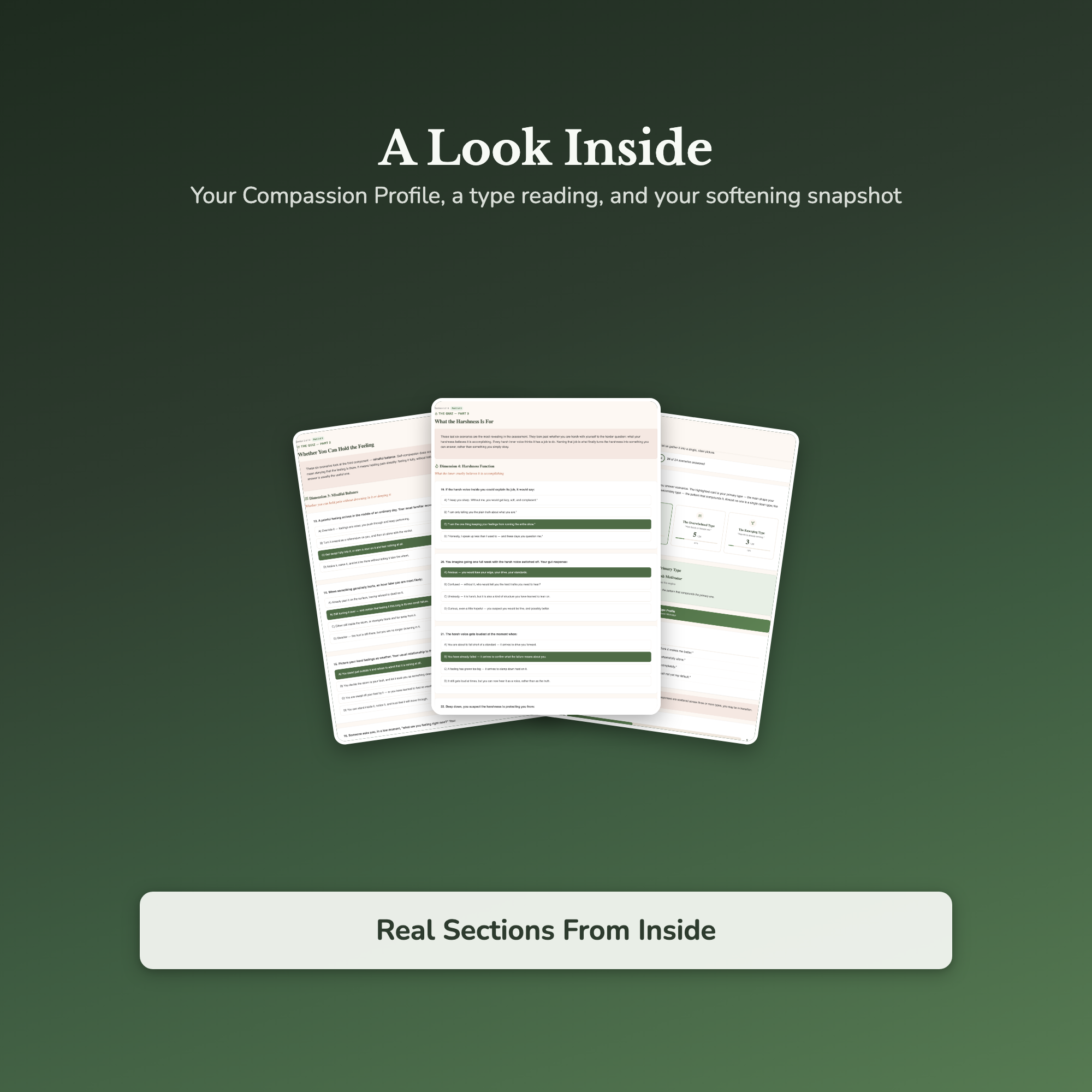 Self-Compassion Quiz & Workbook – Why So Hard On Myself? – Interactive Self-Assessment